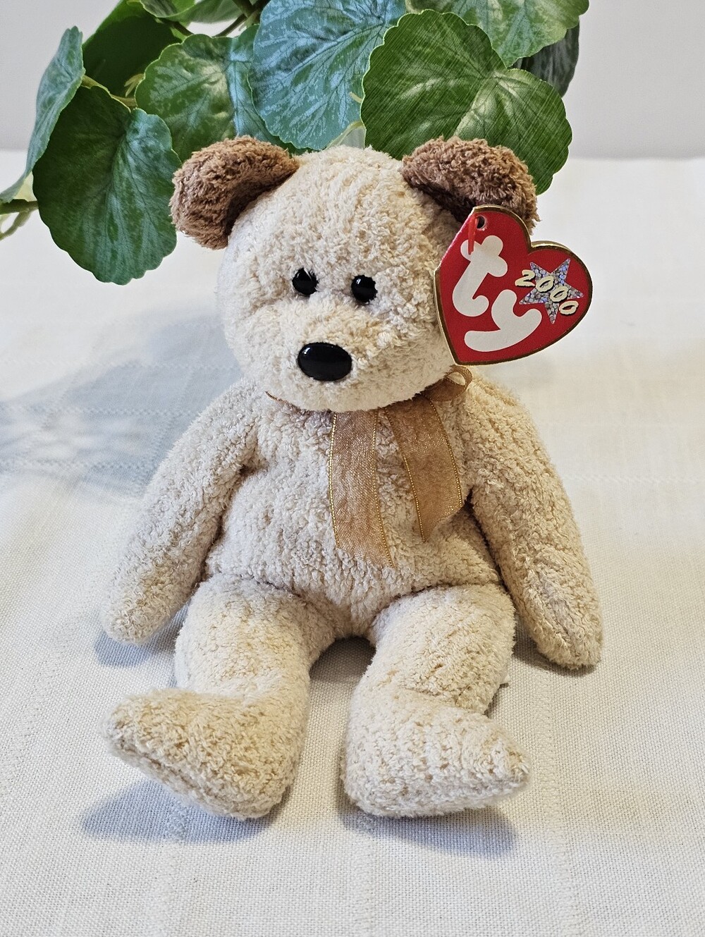 TY Huggy Dog 2000 Plush Beanie Buddy Vintage With Tags